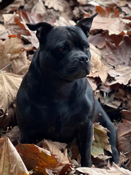 Roisín's Headshot