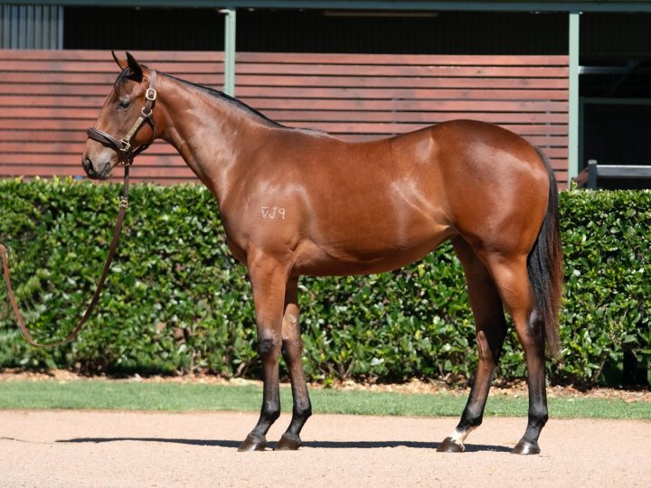 Lot 107