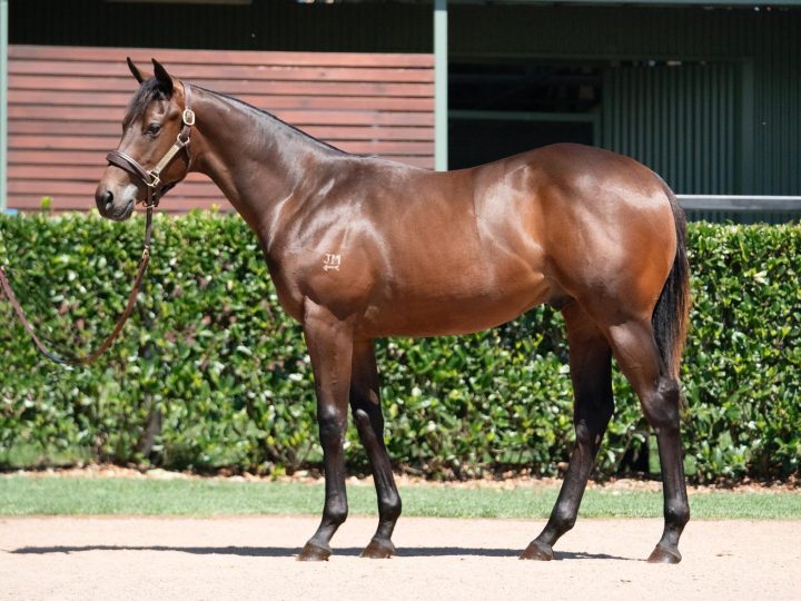 Lot 843