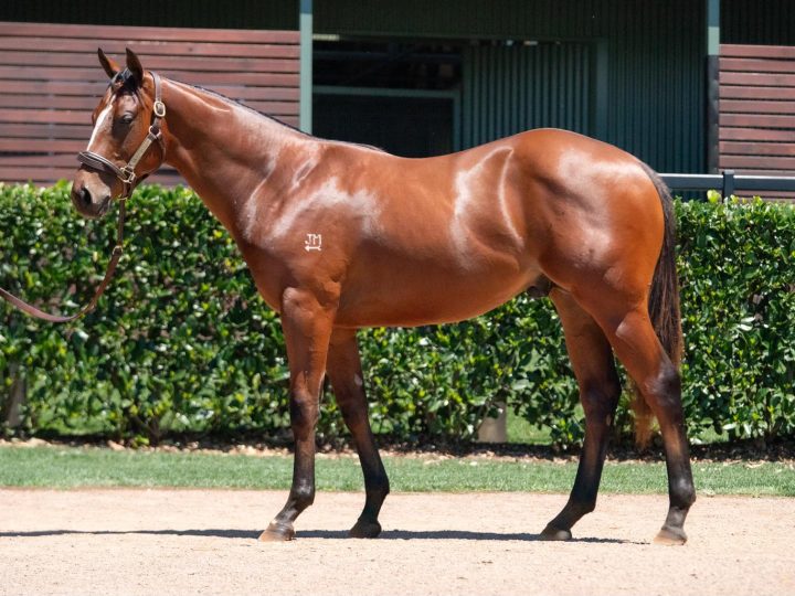Lot 892
