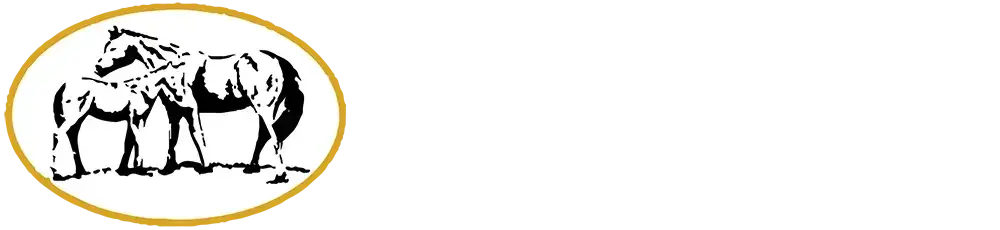 Milburn Creek - Thoroughbred Stud - Southern Highlands