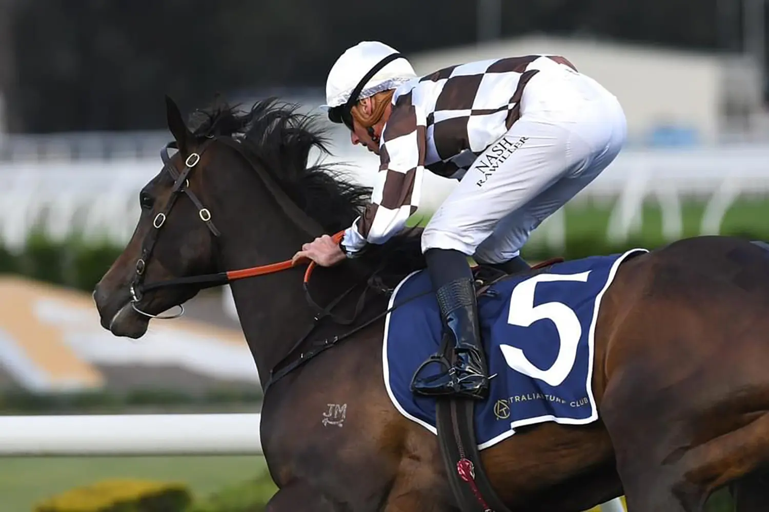 Milburn Creek - Thoroughbred Stud - Southern Highlands - Magic Time