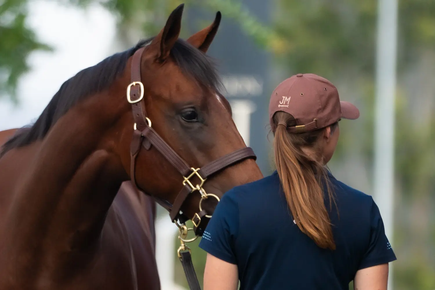 About Milburn Creek - Southern Highlands thoroughbred stud