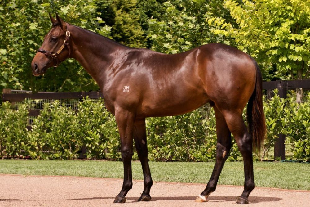 2023 Inglis Classic Lot 196