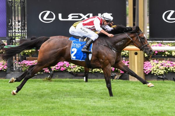 Getta Good Feeling ridden by Billy Egan wins the Inglis Sprint at Flemington Racecourse on February 28, 2026 in Flemington, Australia. (Photo by Brett Holburt/Racing Photos)