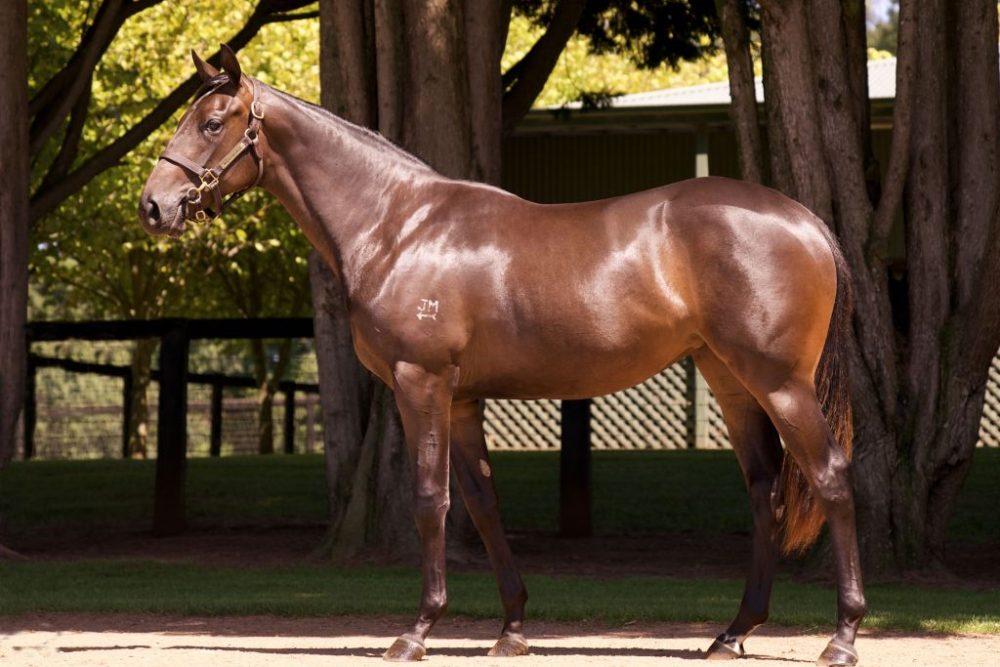 Inglis Premier Lot 275