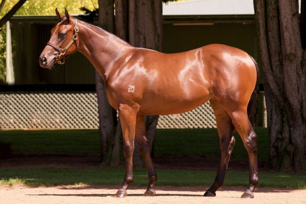 Inglis Premier Lot 285