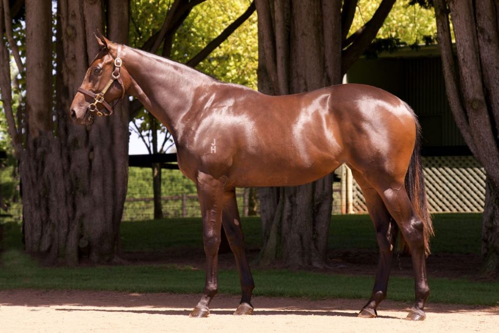 Inglis Premier Lot 32