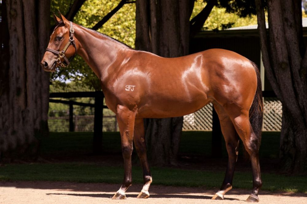 Inglis Premier Lot 552