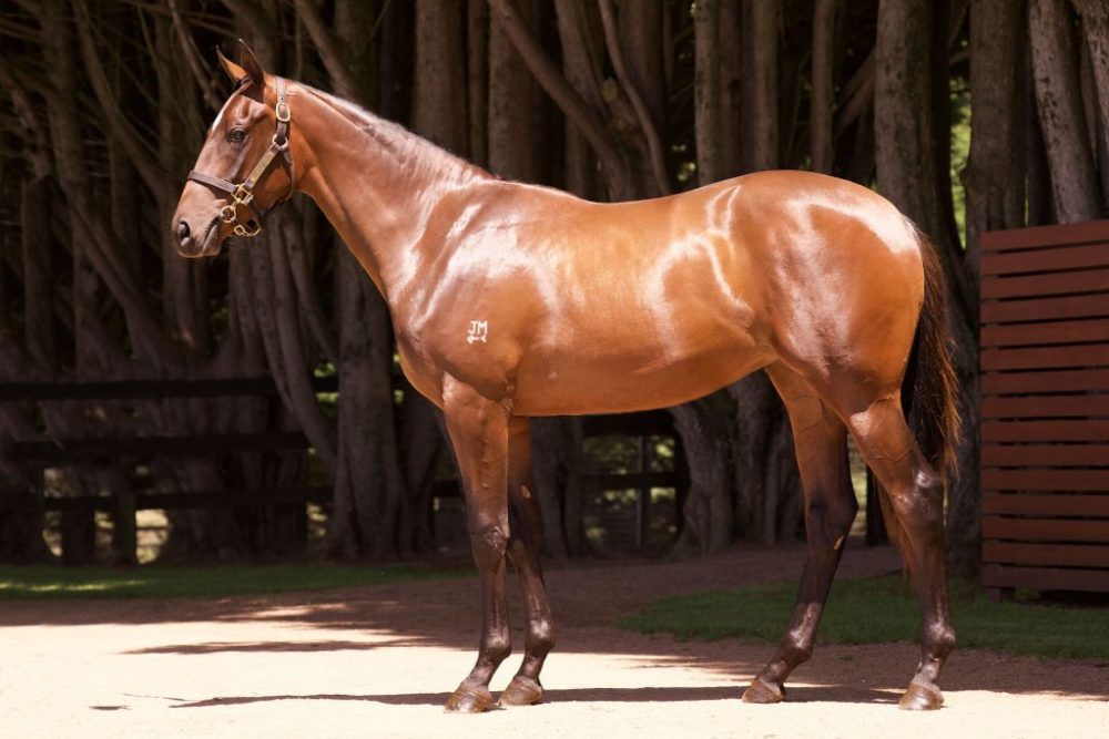 Inglis Premier Lot 67