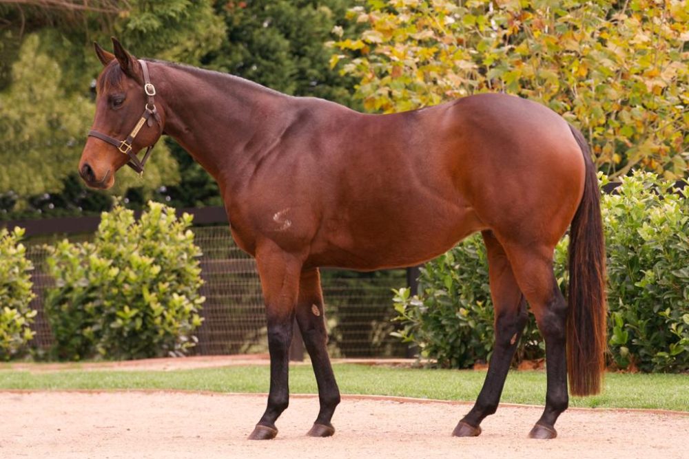 Lot 1014