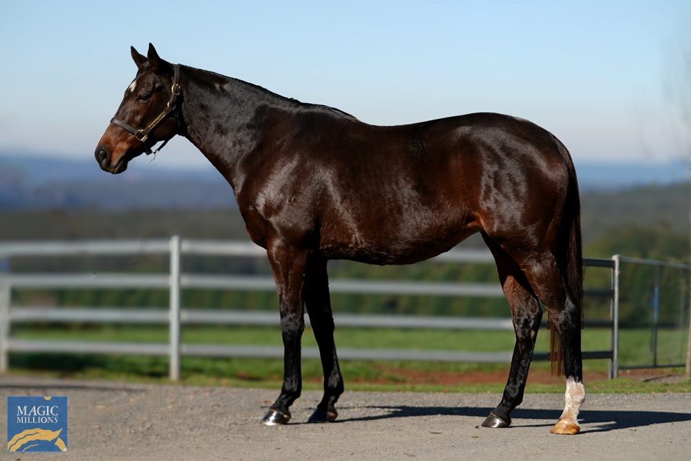 Lot 1054 - Delectation Girl (GB)