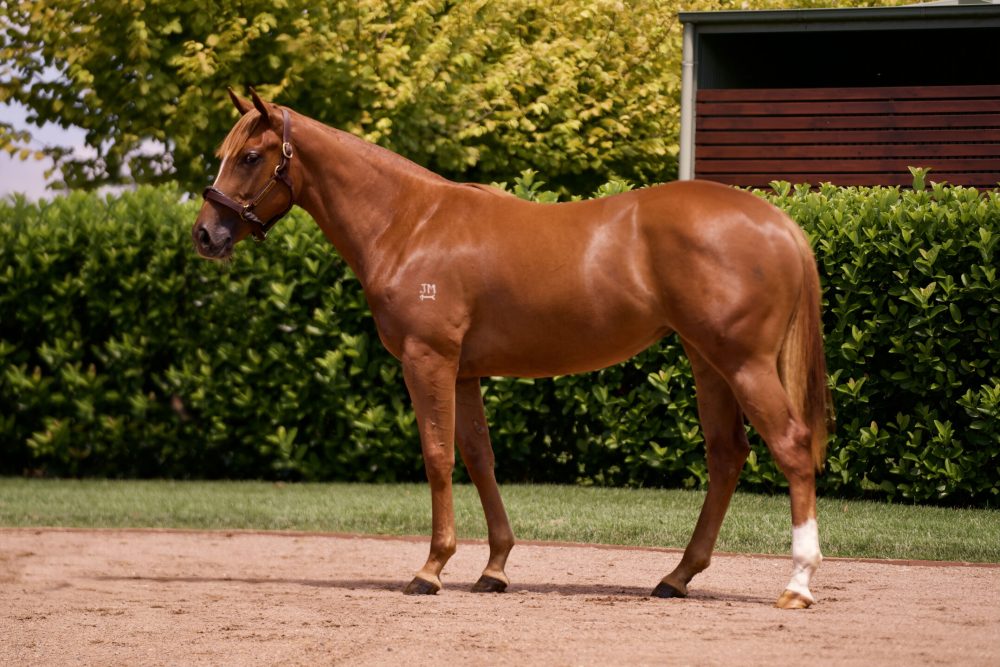 Lot 108