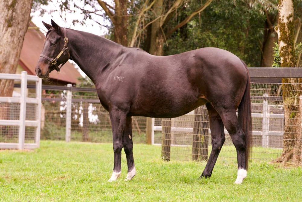 Lot 1110