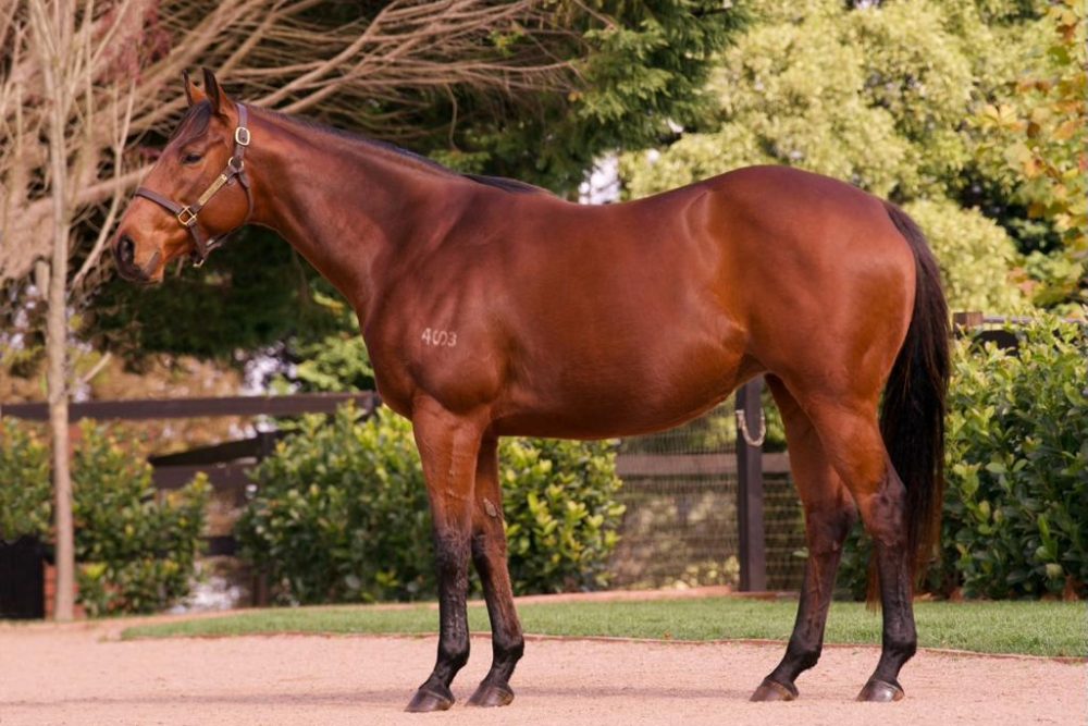 Lot 1180