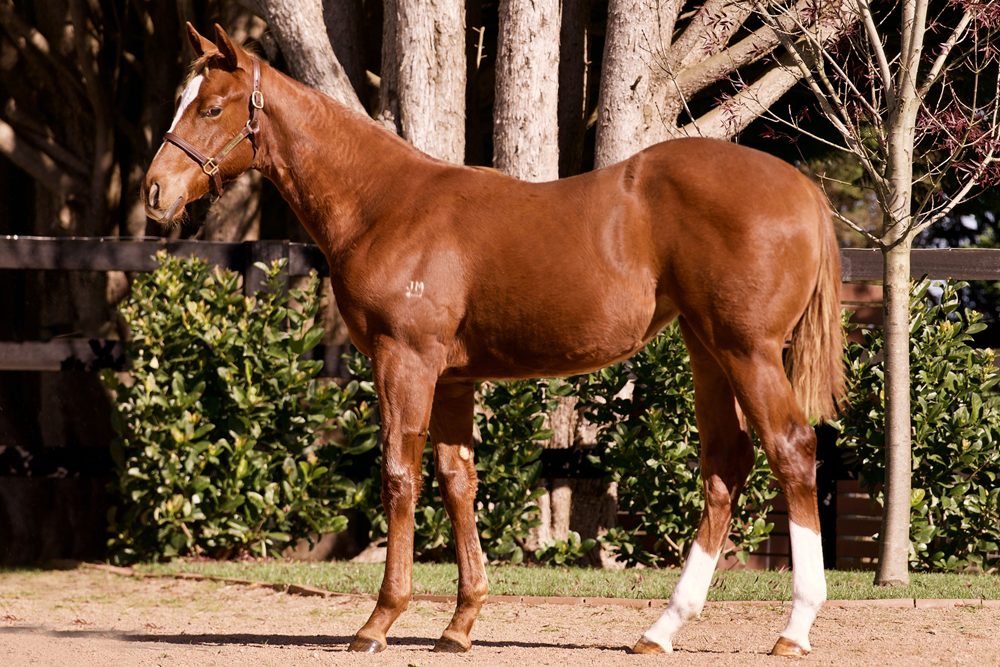 Lot 127