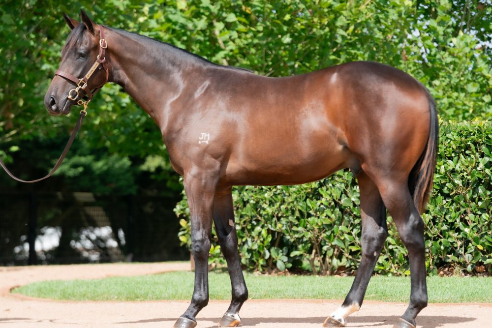 Lot 134