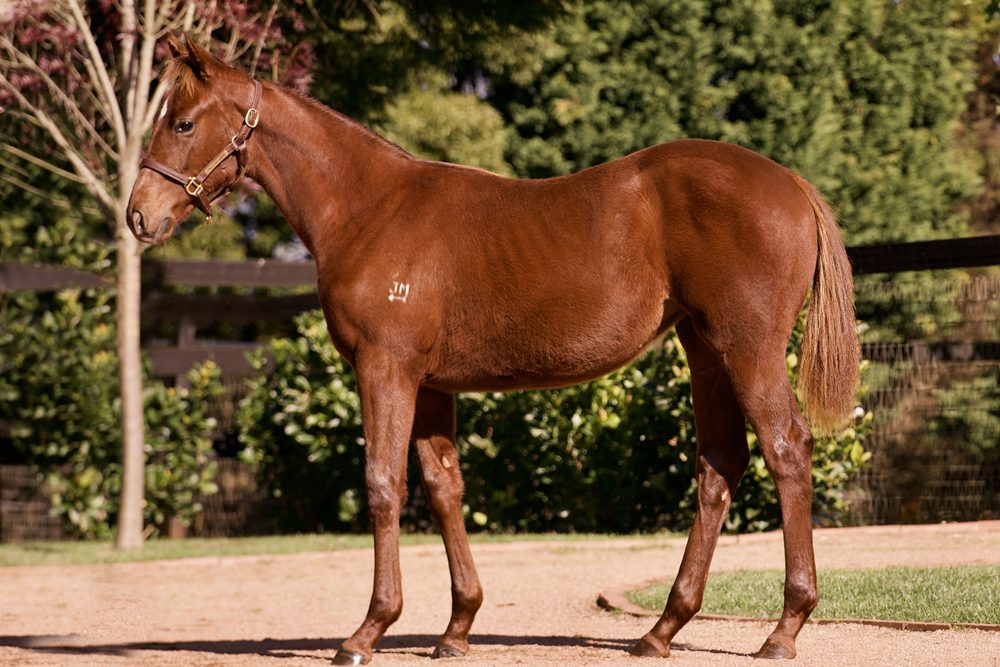 Lot 139