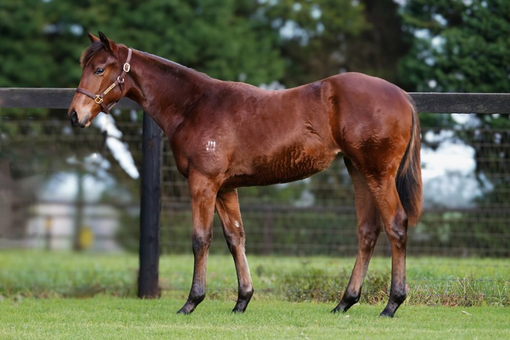 Lot 150