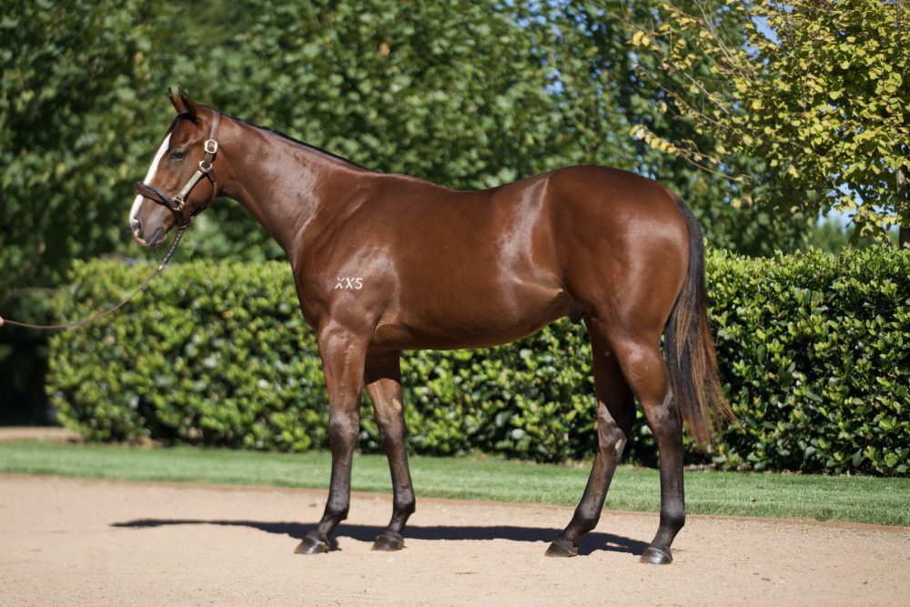 Lot 161