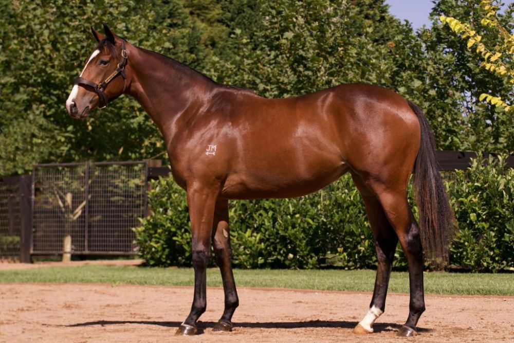 Lot 165