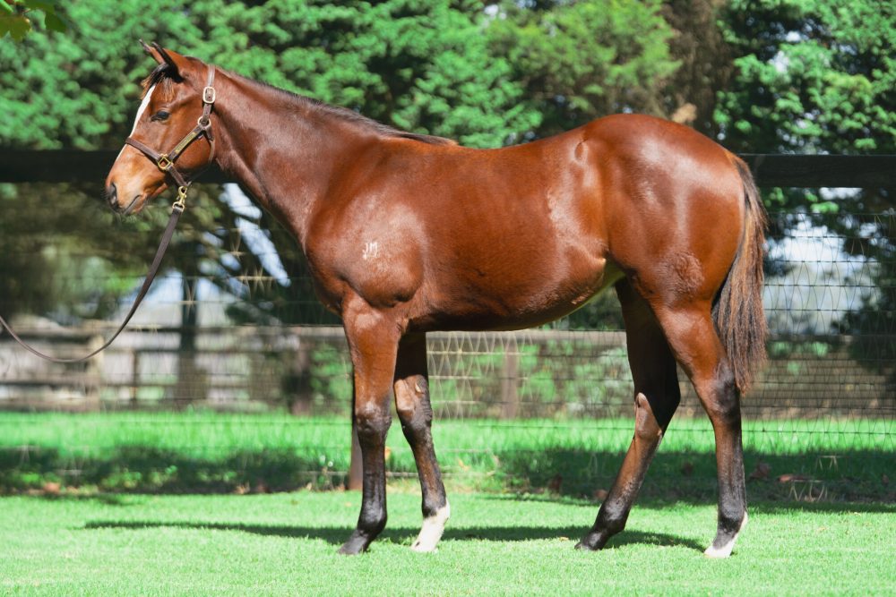 Lot 182