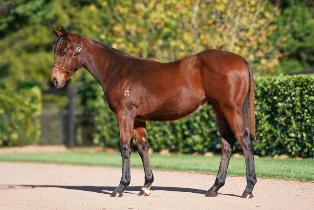 Lot 192
