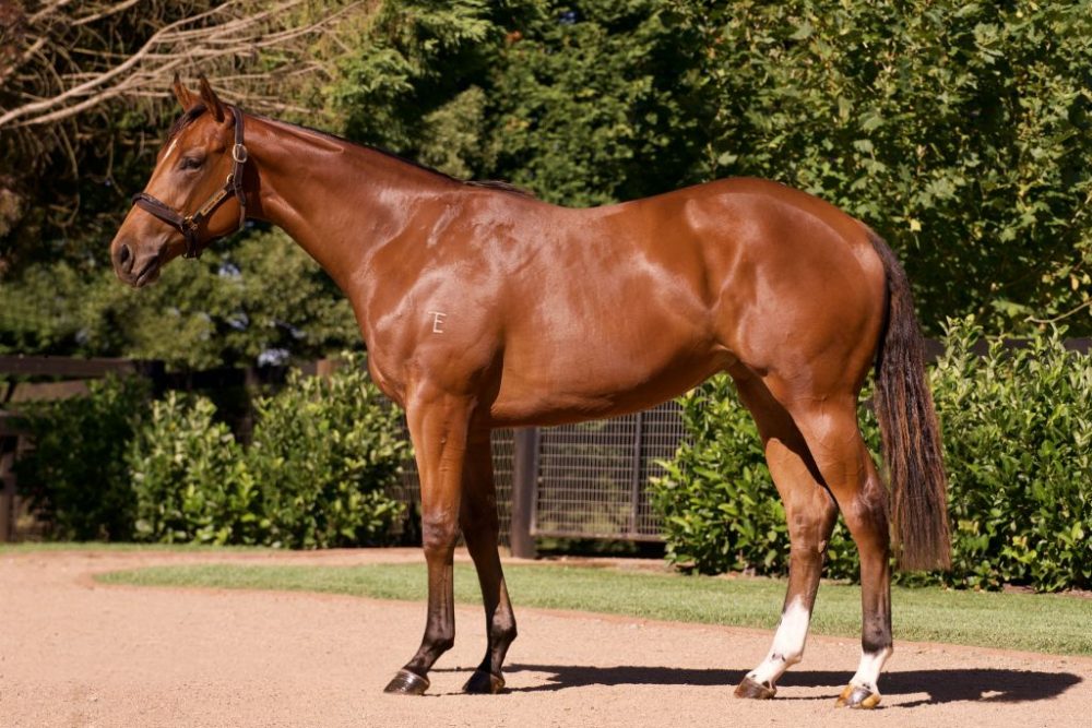 Lot 195