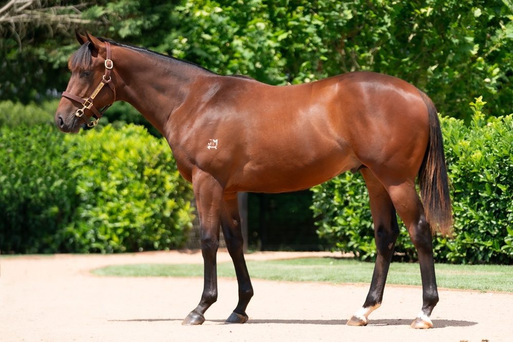 Lot 196
