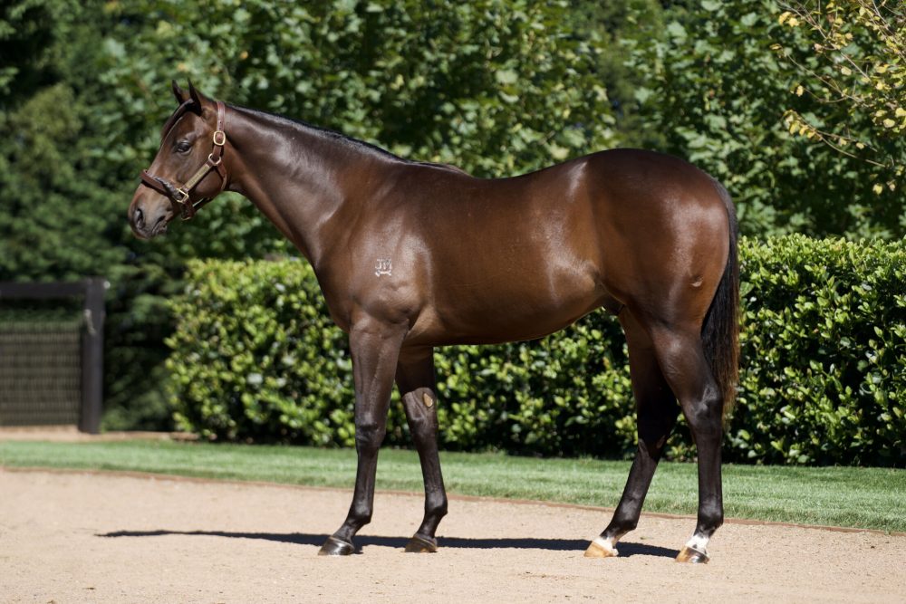 Lot 21