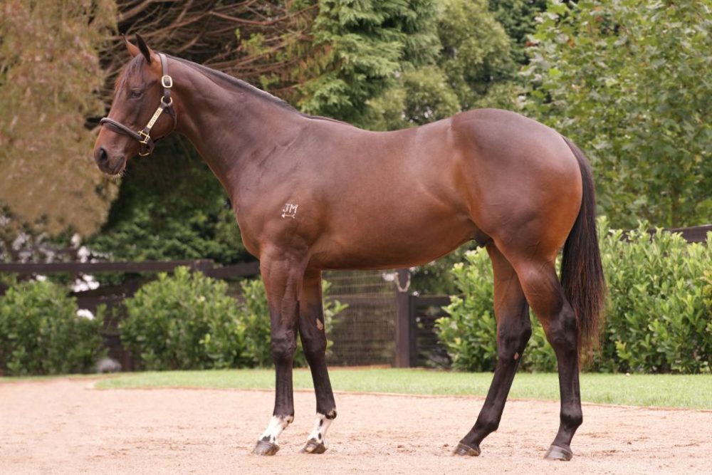 Lot 24