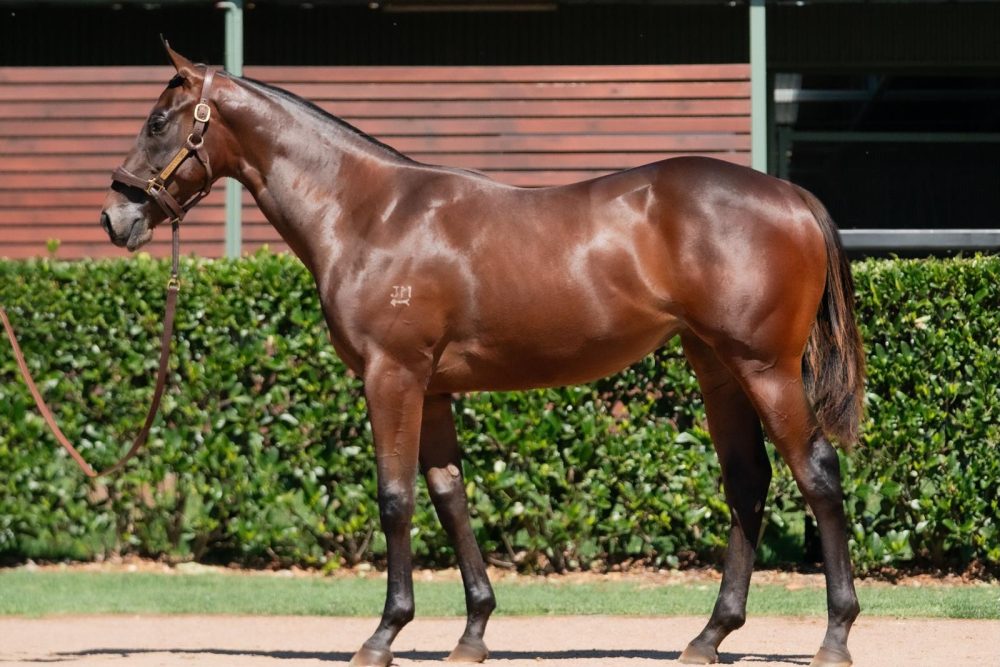 Lot 263
