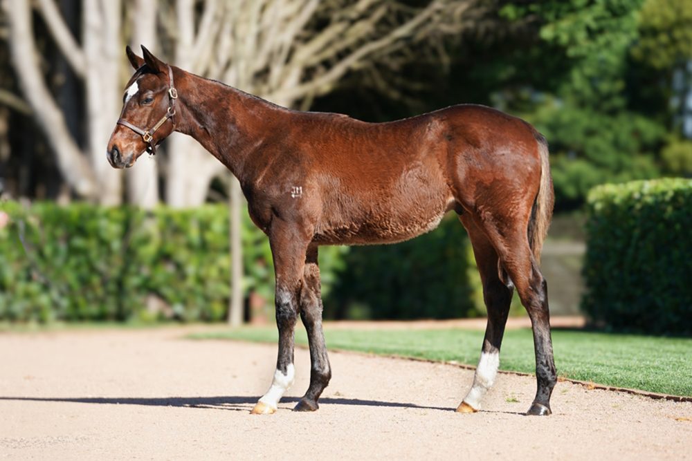 Lot 280