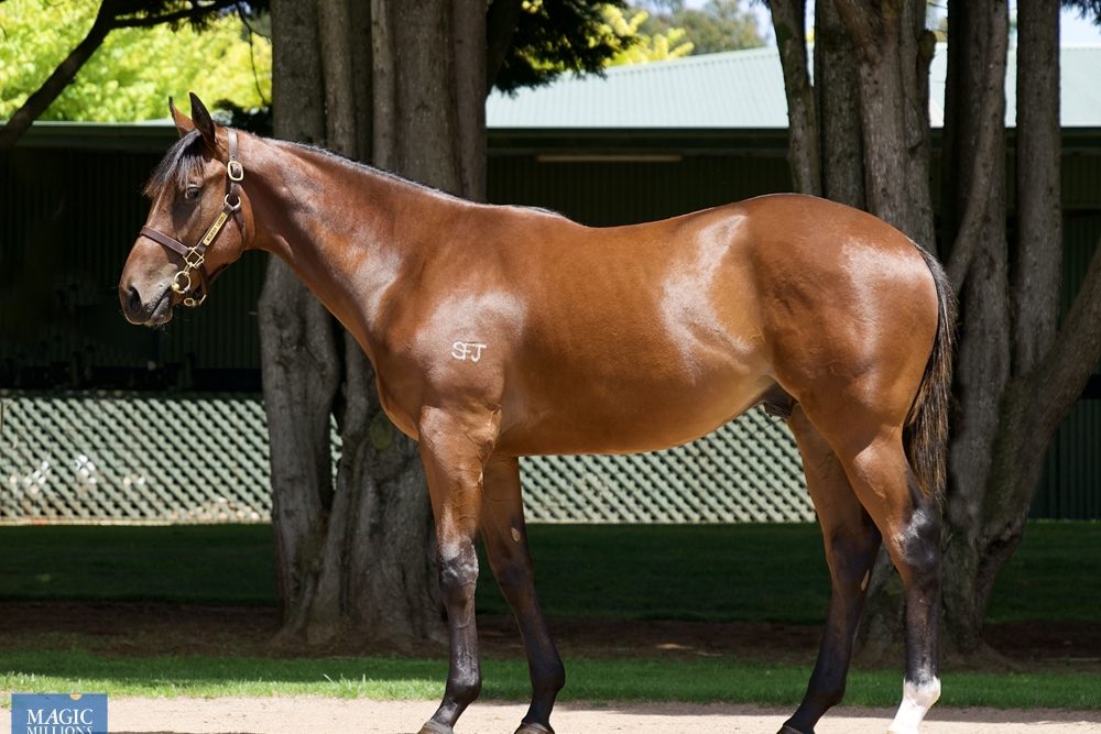 lot 281