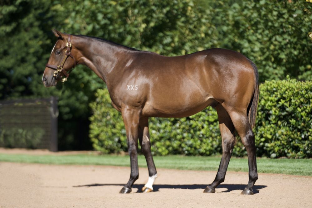 Lot 322