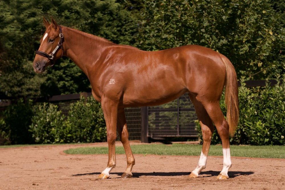 Lot 340