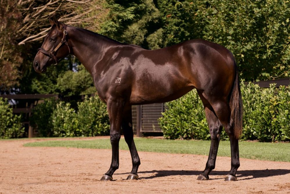 Lot 349