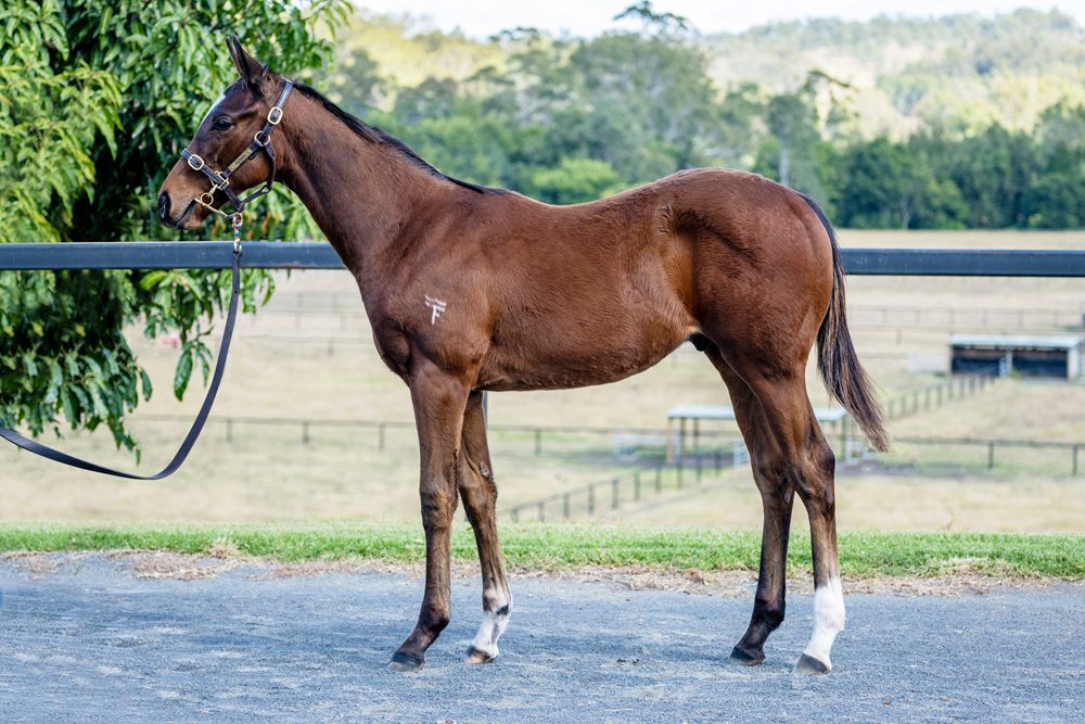 Lot 350