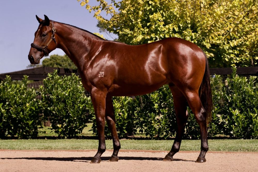 Lot 369