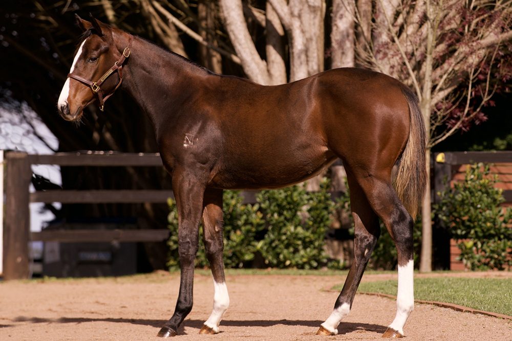 Lot 376
