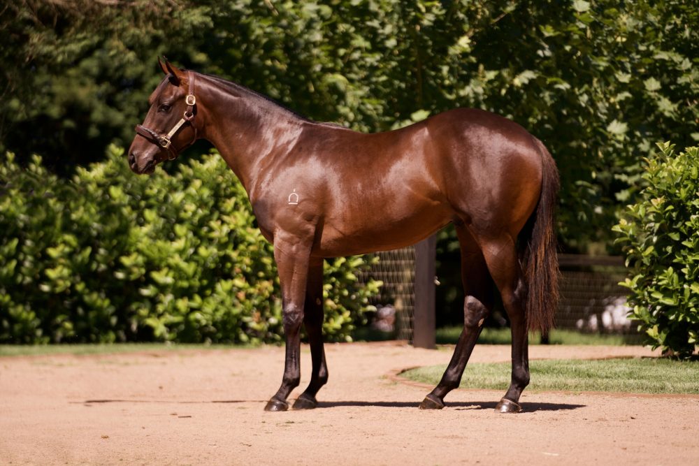 Lot 384