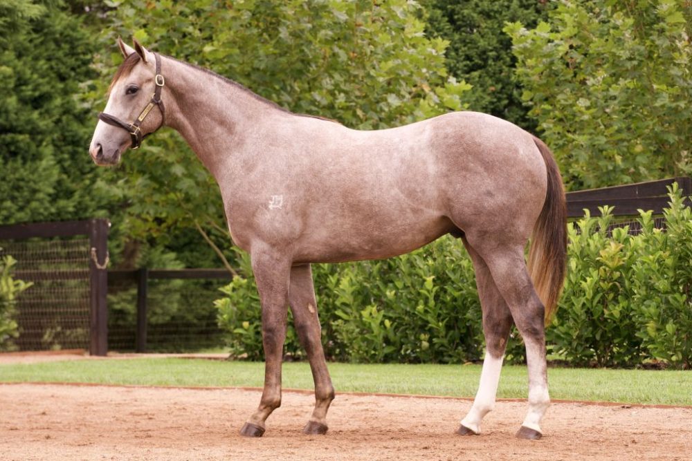 Lot 386