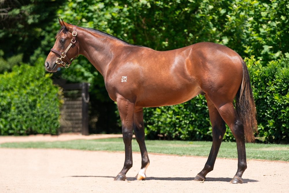 Lot 389