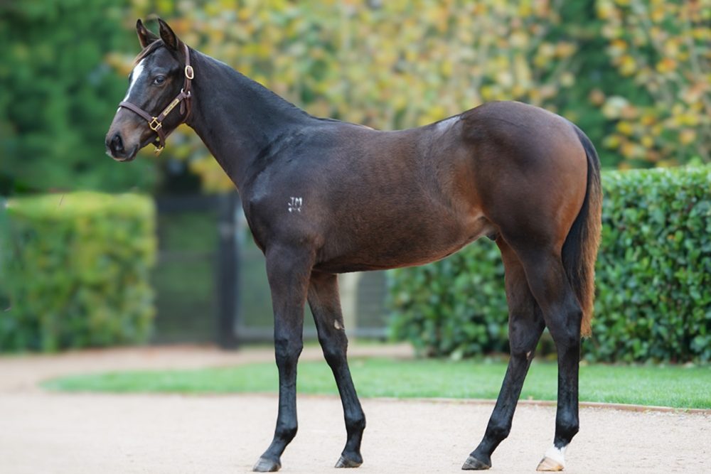Lot 39