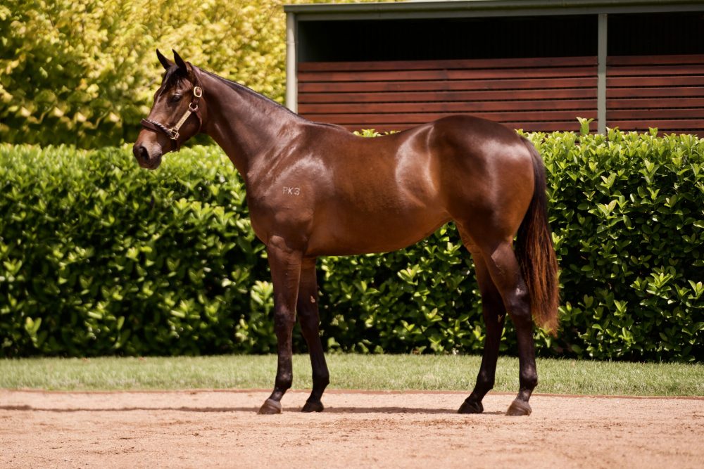 Lot 395