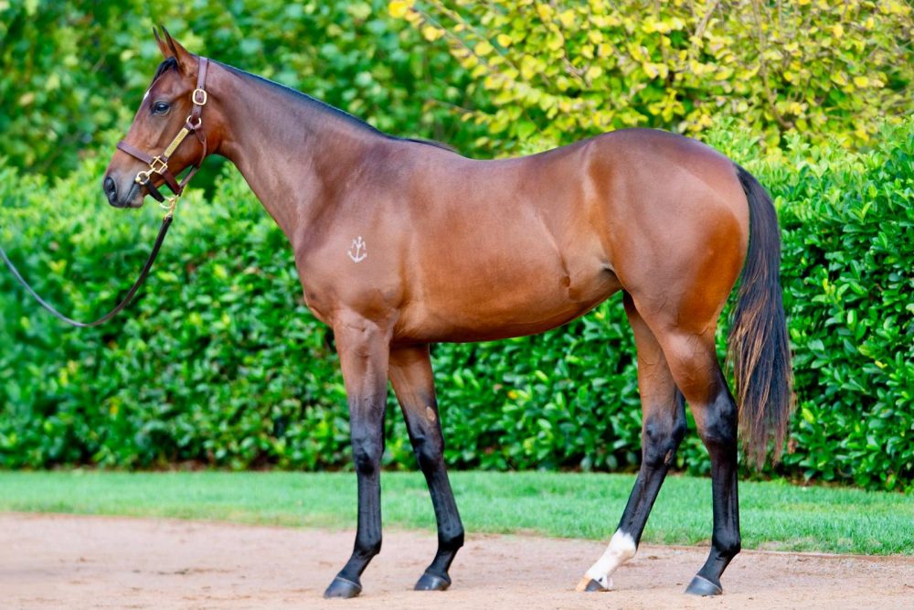 Lot 409