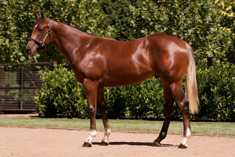 Lot 416