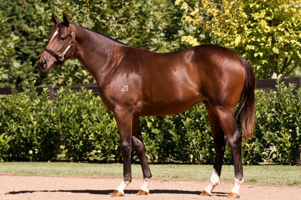 Lot 435