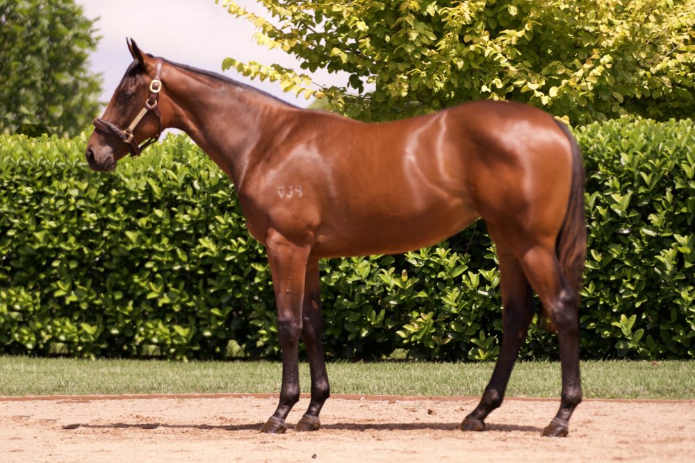 Lot 490
