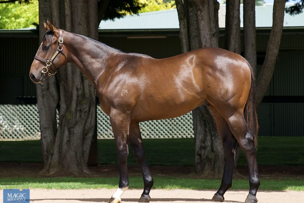 lot 541